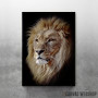 East African lion head East African lion head