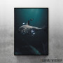 Megalodon Megalodon