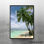 Palm Beach Paradise