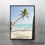 Palm Beach With Hammock 2 Palm Beach With Hammock 2