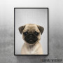 Pug Puppy Colorful Pug Puppy Colorful
