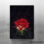 Red Bloom