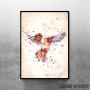 Rufous The Hummingbird