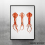 Squids Watercolor Squids Watercolor