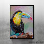 Toucan bird Toucan bird