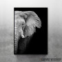Wild Elephant head Wild Elephant head