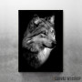 black wild wolf black wild wolf
