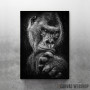 wild gorilla wild gorilla
