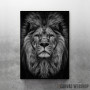wild lion head wild lion head