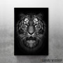 wild tiger head wild tiger head