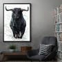 Buffalo Buffalo