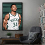 Giannis Antetokounmpo 2