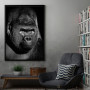 Gorilla black face