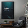 Megalodon Megalodon