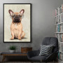 Mr French Bulldog