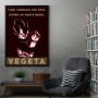 Vegeta Dragon Ball Z Vegeta Dragon Ball Z