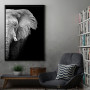 Wild Elephant head Wild Elephant head
