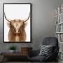 white wild Buffalo white wild Buffalo