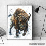 Buffalo watercolor Buffalo watercolor