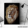 East African lion head East African lion head