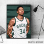 Giannis Antetokounmpo 2