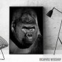 Gorilla black face