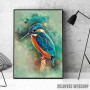 Kingfisher