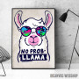 No probllama llama