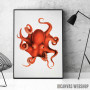 Octopus Watercolor Octopus Watercolor