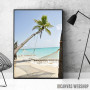 Palm Beach With Hammock 2 Palm Beach With Hammock 2