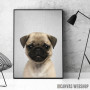 Pug Puppy Colorful Pug Puppy Colorful