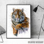 Tiger watercolor 2 Tiger watercolor 2