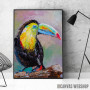 Toucan bird Toucan bird