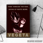 Vegeta Dragon Ball Z Vegeta Dragon Ball Z