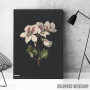 Vintage illustration of flowers 2 Vintage illustration of flowers 2