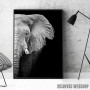 Wild Elephant head Wild Elephant head