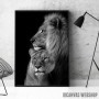 lions Love black and white 2 lions Love black and white 2