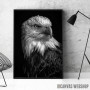 wild eagle head