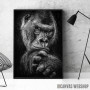 wild gorilla wild gorilla