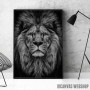 wild lion head wild lion head