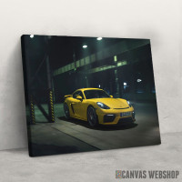 Slika 718 Cayman GT4