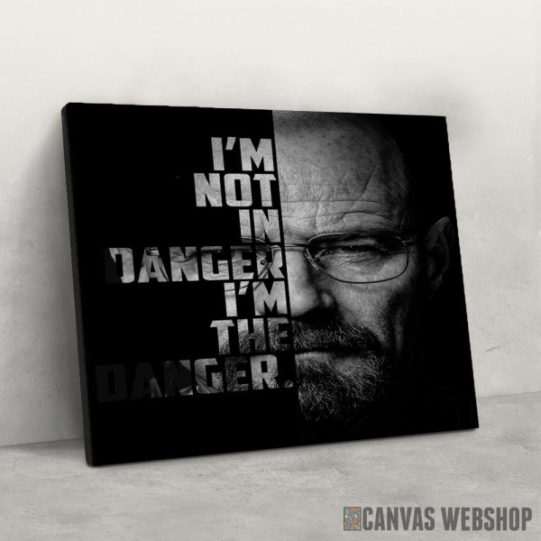 Slika I´m not in danger, I´m the danger
