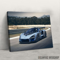 Slika McLaren Senna na stazi