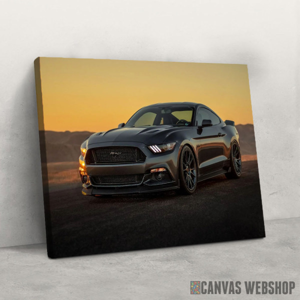 Slika Mustang 2 Slika Mustang 2