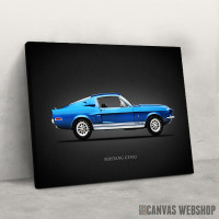 Slika Mustang GT500