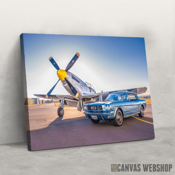 Slika Mustang i avion