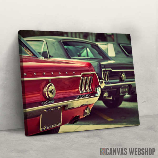 Slika Mustang old timers