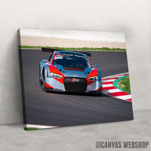 Slika R8 GT3 trka
