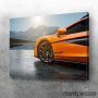 Slika 570S