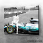 Slika Lewis Hamilton Petronas Slika Lewis Hamilton Petronas